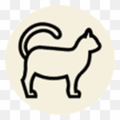 Shop - Cat Page 1 Pet Food Express Animal Figure png