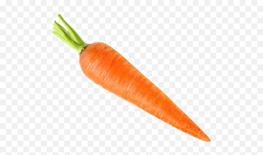 Carrot Png Transparent Images Free Download Background