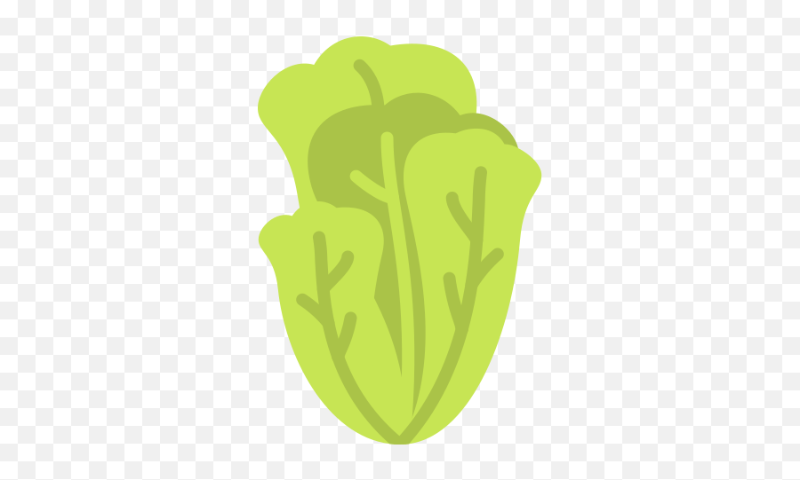 Lettuce - Free Food Icons Language Png,Lettuce Icon