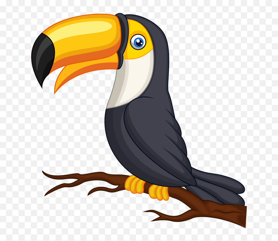 Tucan Png - Transparent Background Toucan Clipart,Tucan Png