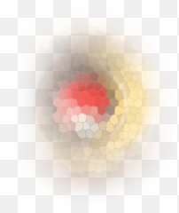 Red Yellow Black White Fade - Artificial Flower png