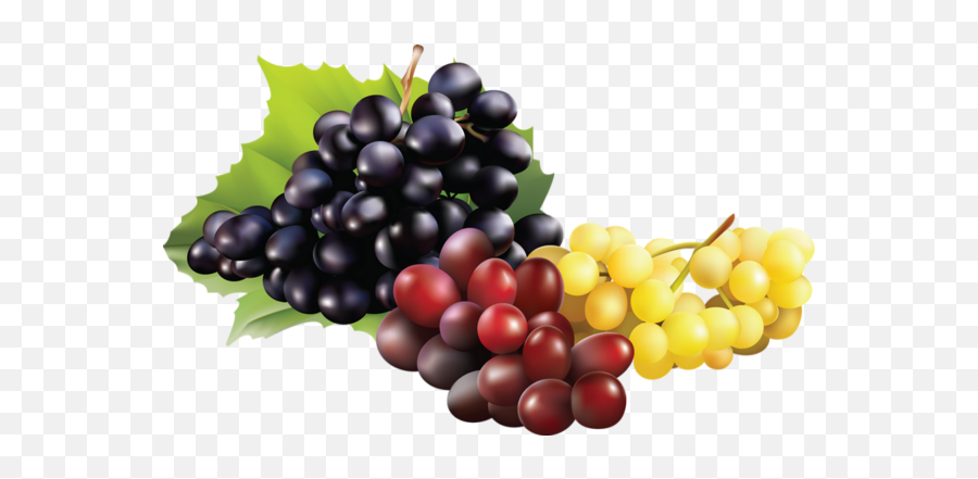 Grappe De Raisin Png 4 Image - Raisin Png,Raisin Png