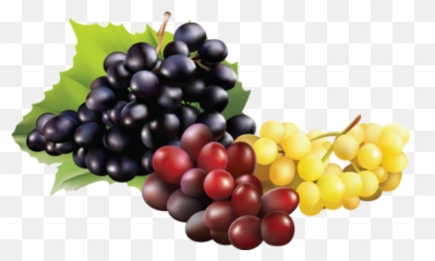 Grappe De Raisin Png 4 Image - Raisin Png,Raisin Png