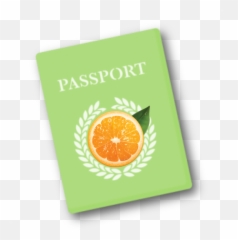 Passport Png - Travel Clip Art 3847179 Vippng Corel Draw Golden Design,Passport Png