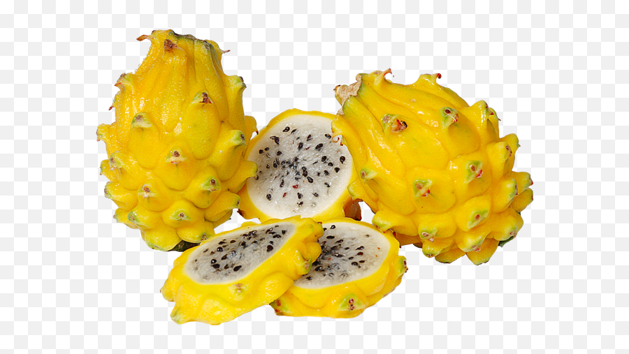Dragon Fruit Pitaya - Pitaya Amarela Png,Dragonfruit Png