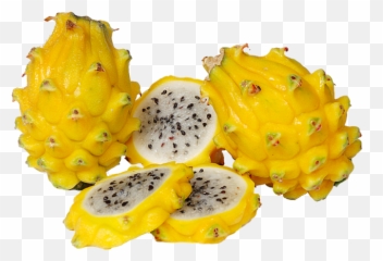 Dragon Fruit Pitaya - Pitaya Amarela Png,Dragonfruit Png