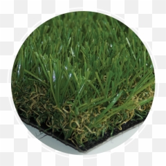 Eco Grass U2014 Rymar Synthetic Artificial - Rymar Eco Grass Png,Lawn Png