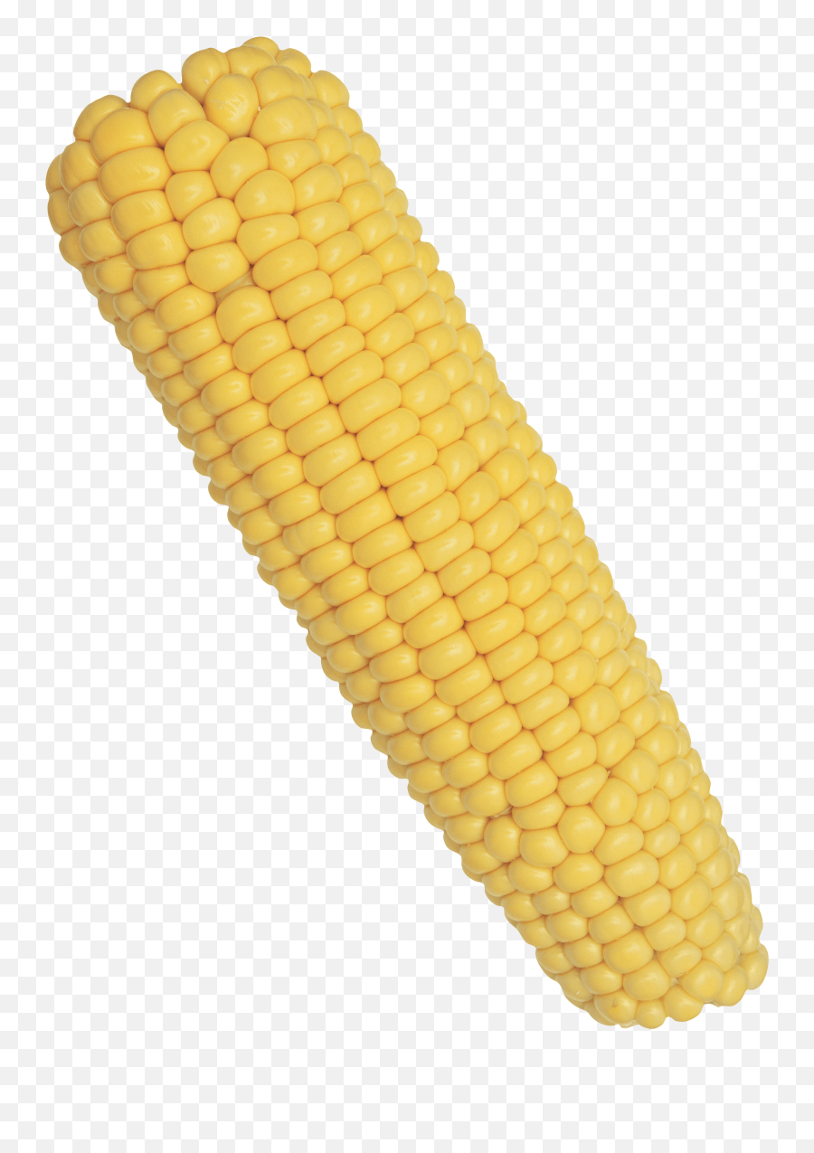 Corn Png Photo - Corn On The Cob Png,Corn Cob Png