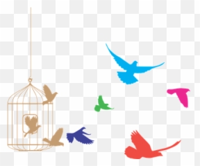 Birds Cage Freedom Product Eps - Flock Of Clipart Flying From Png