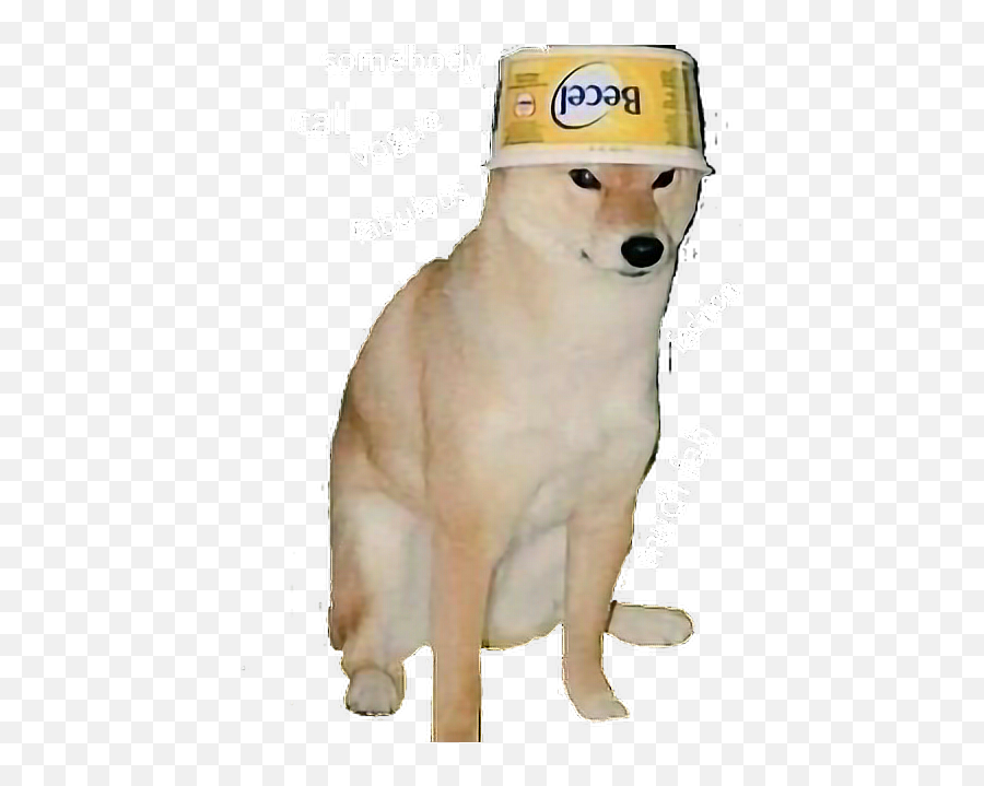 Doggo - Dog Meme Transparent Background Png,Doggo Png