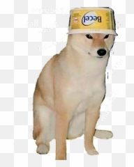 Doggo - Dog Meme Transparent Background Png,Doggo Png