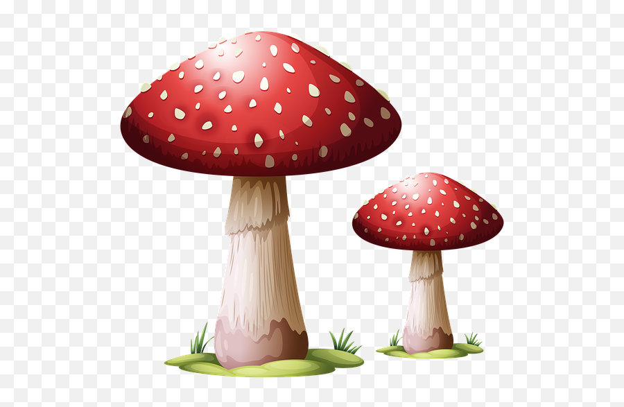 Toadstool Mushroom Fungus - Mushroom Art Png,Toadstool Png