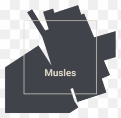 Musles Clothing Hoodie U2013 Media Store - Stf Store Png,Keemstar Transparent