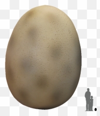Dinosaur Egg Png U0026 Free Eggpng Transparent Images - Transparent Dinosaur Egg Png,Jake Paul Transparent