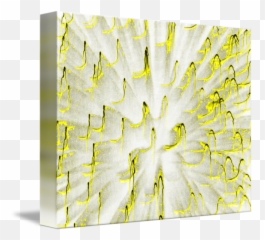 Fire Art Blast Gold By Sr Smith - Paper png