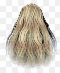 Hair Images - From Back Png