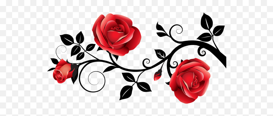 Pin - Christianna Brand Rose In Darkness Png,Rose Vines Png