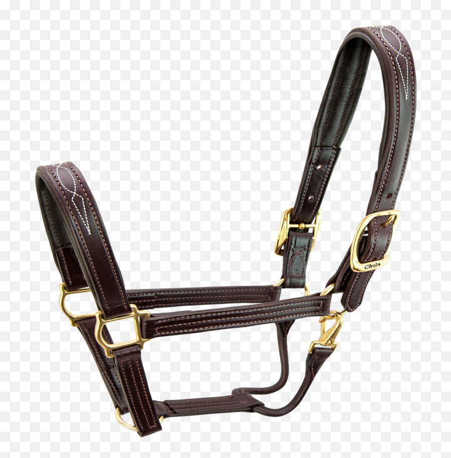 Signature Halter - Horse S5000 Leather Halters Png,Leather Png