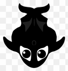Killer Whale - Automotive Decal png