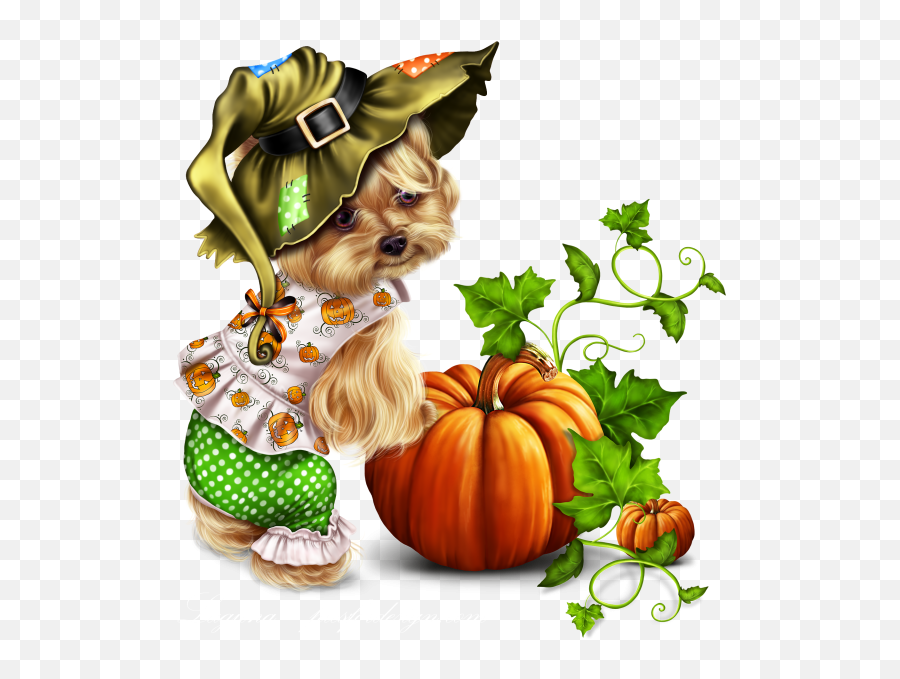 Yorkie - Yorkshire Terrier Png,Yorkie Png