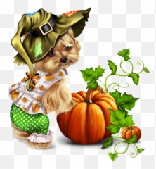 Yorkie - Yorkshire Terrier Png,Yorkie Png
