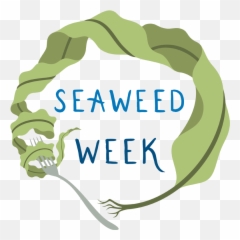 Kelp Png - Seaweed,Kelp Png