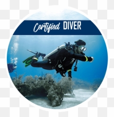 Scuba Diver Png - Buoyancy Compensator,Diver Png