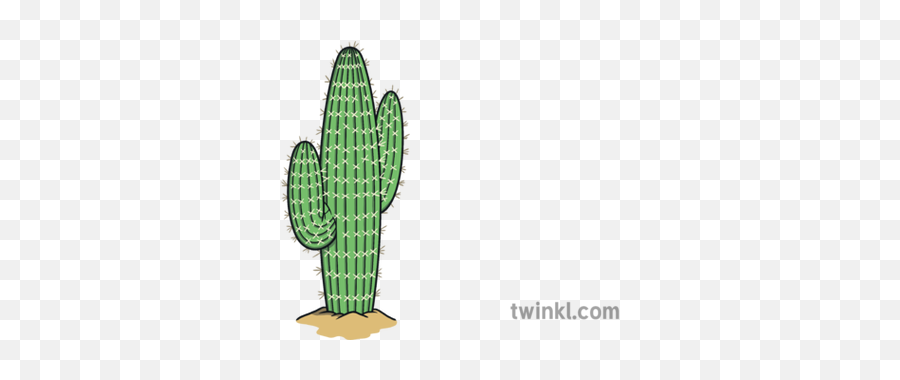 Tall Cactus With Pricks Succulents Plants Desert Usa Ks1 - San Pedro Cactus Png,Desert Plant Png