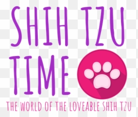 Shihtzu Time - The World Of The Loveable Shih Tzu Dot Png,Shih Tzu Png
