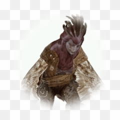 Magic Crystal Of Crimson Flame - Carnage BDO Codex Harpy Mage png