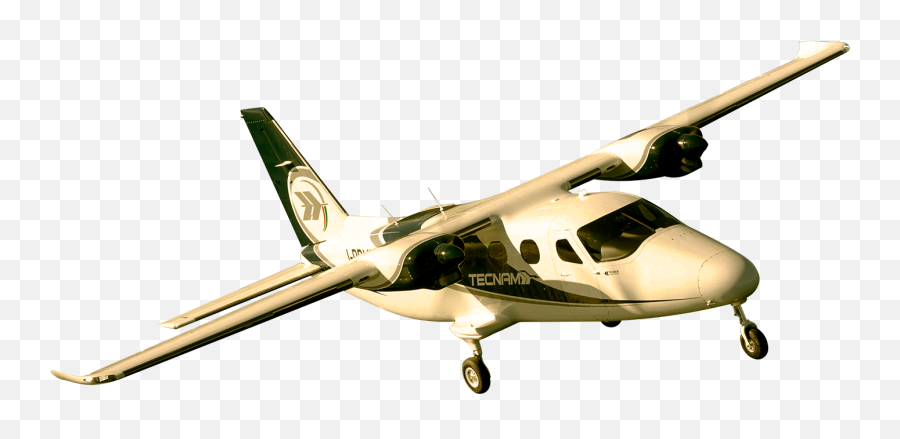 Tecnam Aircraft Single U0026 Twin Engine Planes Soar Higher - Aircraft Png,Icon Sports Plane