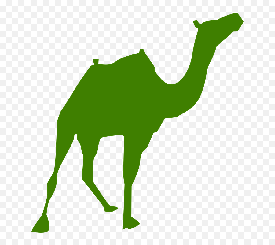 Camel Silhouette Arabia - Pyramids Clipart Silhouette Png,Camel Logo