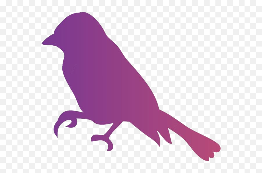 Bird Sitting Png Hd Images Stickers Vectors - Finch Silhouette Clipart,Purple Parrot Icon