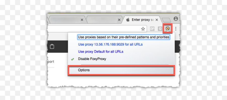 Foxyproxy Extension Configuring The Liveconnect Proxy - Dot Png,Chrome Web Store Icon