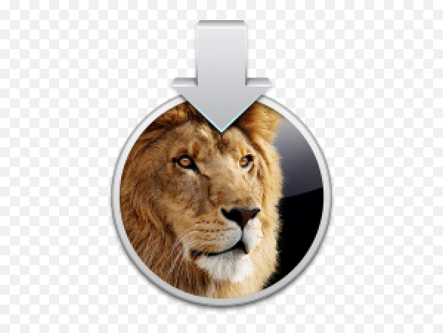 The Latest Os X Lion Hackintosh Recommendations For Video Png Owc Ssd Icon