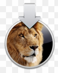 The Latest Os X Lion Hackintosh Recommendations For Video Png Owc Ssd Icon