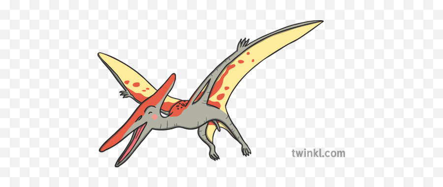Pterodactyl 2 Illustration - Twinkl Invertebrate Png,Pterodactyl Png