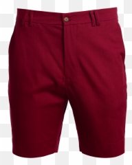 Red Poinsettia - Bermuda Shorts Png,Poinsettia Png