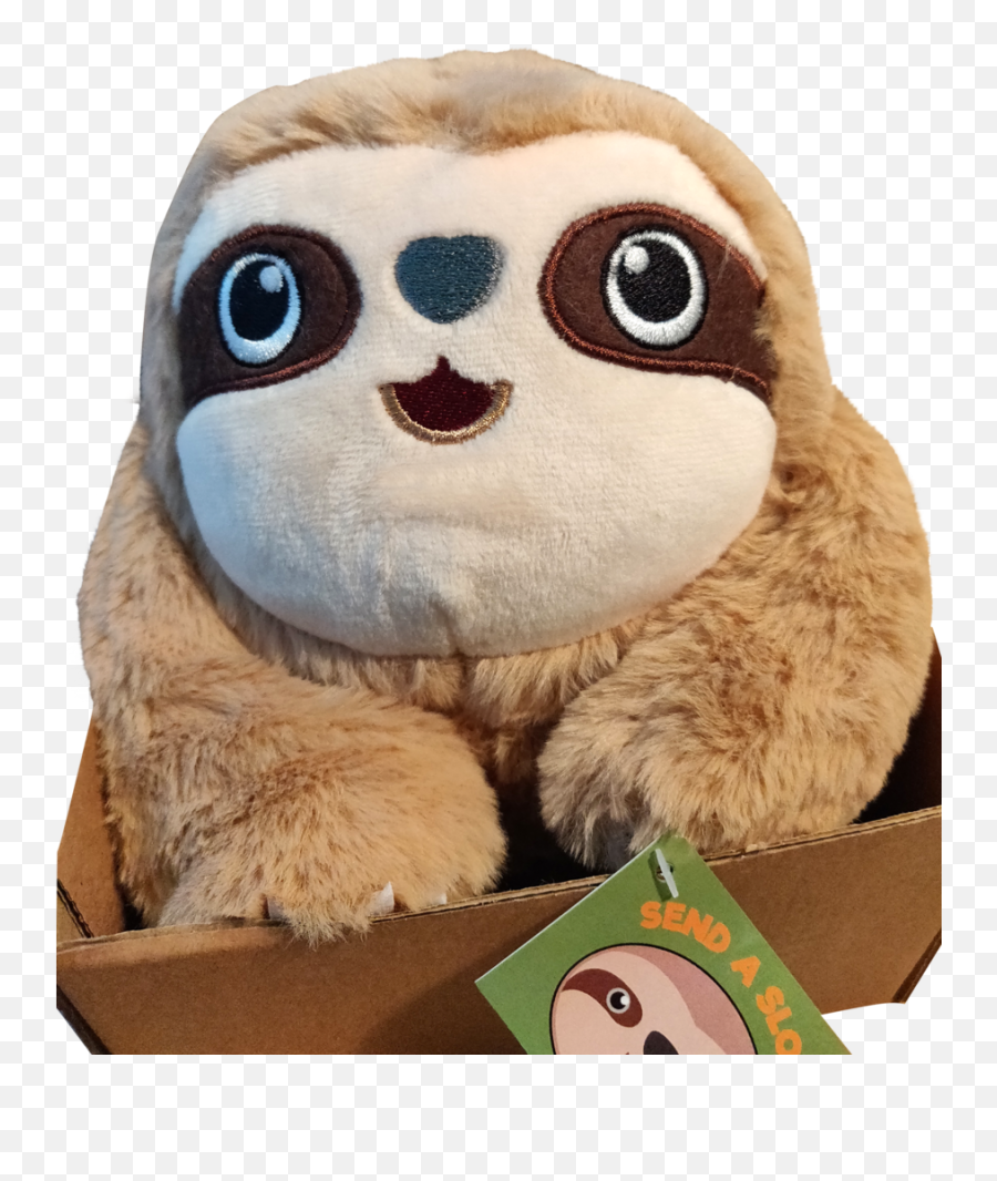 Mini Sloth Gift Box Cute Toy - Stuffed Toy Png,Sloth Transparent Background