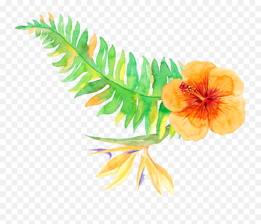 Tropics Plants Vegetation Download Free - Tropical Flower Png Watercolor,Tropical Plants Png