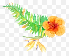 Tropics Plants Vegetation Download Free - Tropical Flower Png Watercolor