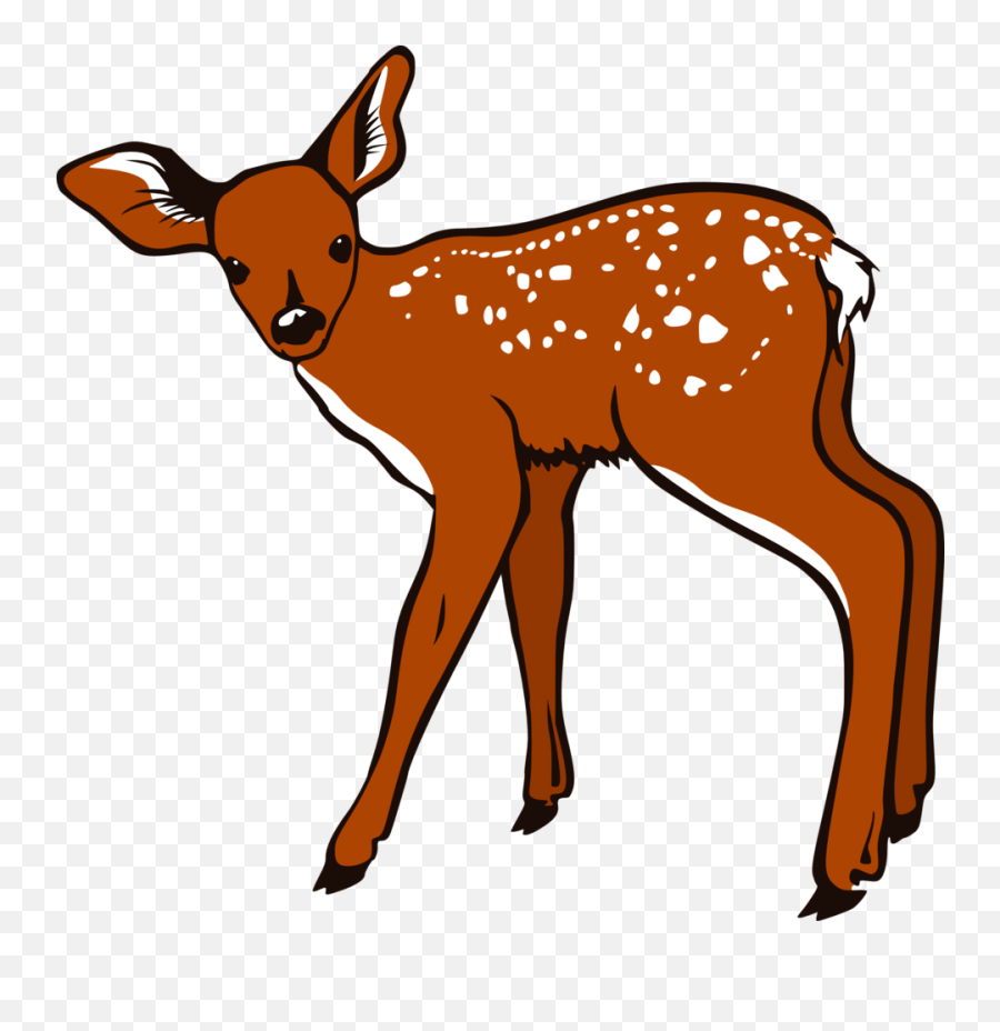 Deer Head Whitetail Clipart Transparent Png - 110k Cliparts,Painting Clipart Png