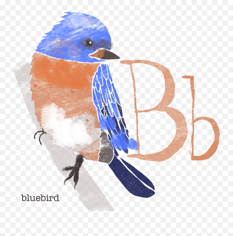 Alphabet Bird Poster Stacy Kathryn Holst - Eastern Bluebird Png,Blue Bird Png