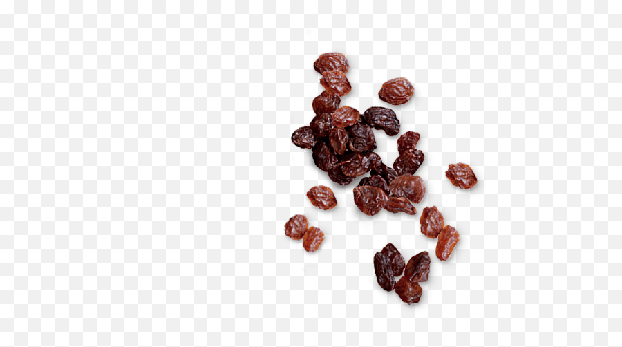 Download Left Vignette - Transparent Raisin Png,Raisin Png