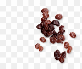 Download Left Vignette - Transparent Raisin Png,Raisin Png