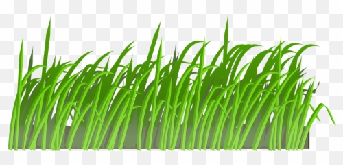 Grass Cartoons Png 3 Image - Cartoon Grass,Lawn Png