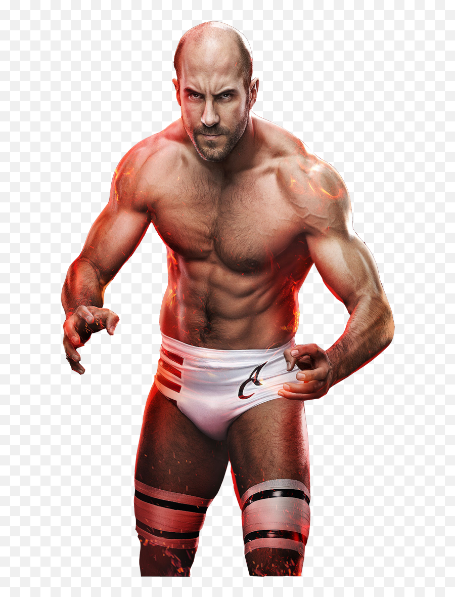 Wwe 2k15 - Tim Games Png Files Wwe 2k15 Cesaro Png,Roman Reigns Png