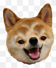 Transparent Background Doggo Png - Husky Shiba Inu,Doggo Png