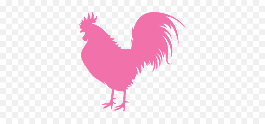 700 Free Cock U0026 Chicken Images - Pixabay Transparent Rooster Icon Png,Cum Transparent Background