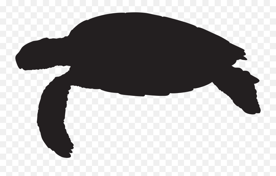 Silhouette Clip Art - Sea Turtle Silhouette Png Clip Art Clipart Sea Turtle Silhouette,Under The Sea Png
